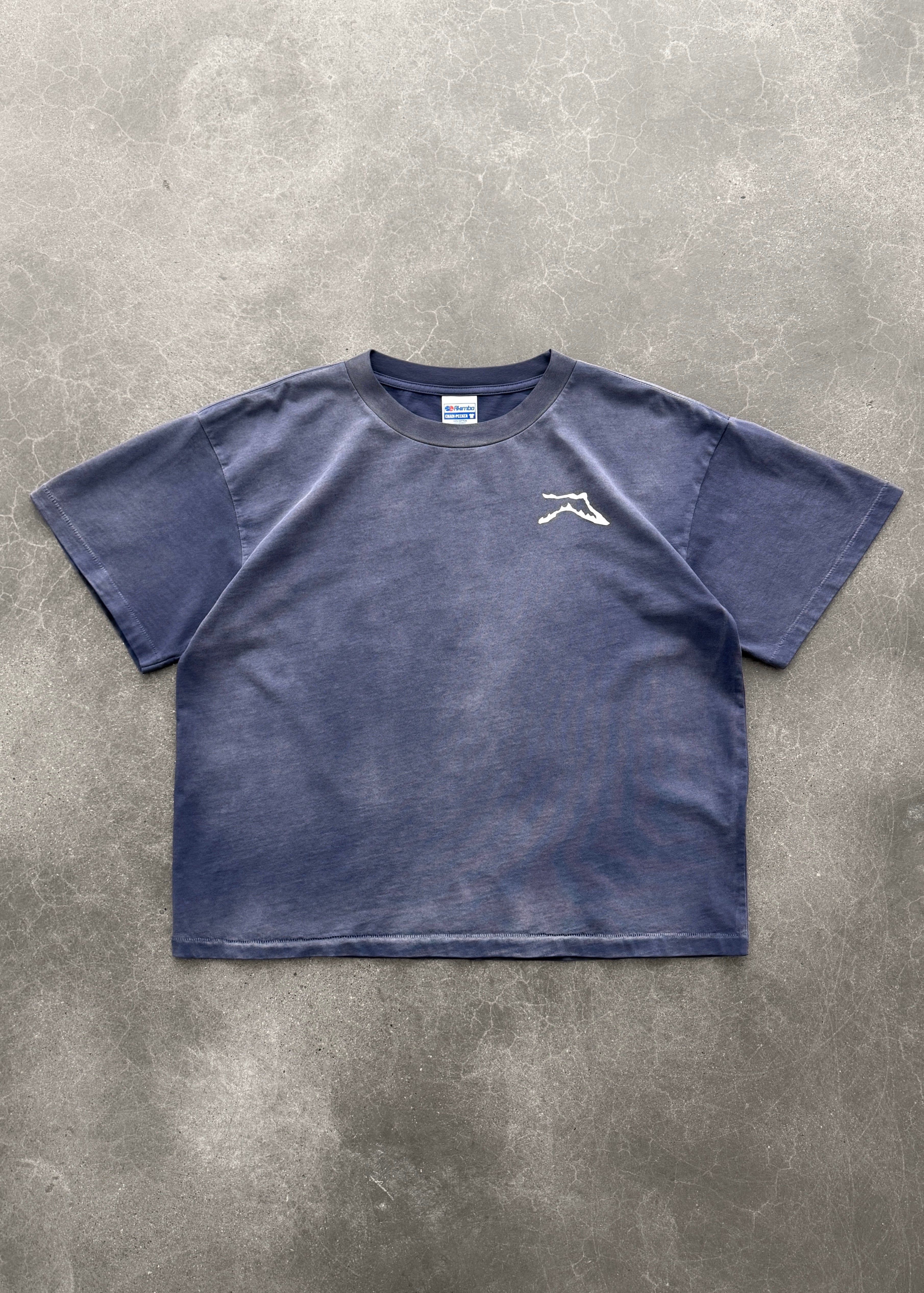 CHAIN-PEEKER” MID-WEIGHT RANGE TEE - SUN FADED EGGPLANT
